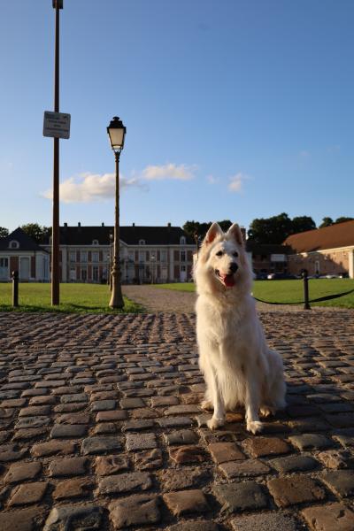 Photo du logement