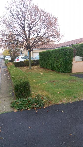 Photo du logement