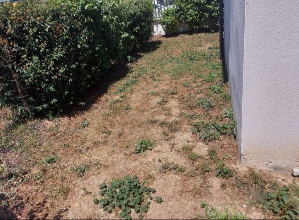 Photo du logement