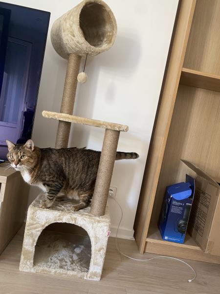 Photo du logement