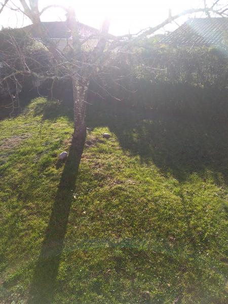 Photo du logement