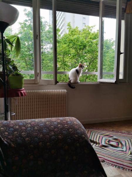 Photo du logement