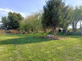 Photo du logement