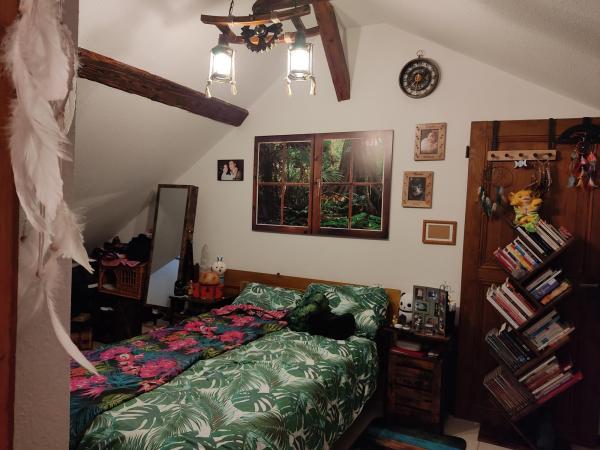 Photo du logement