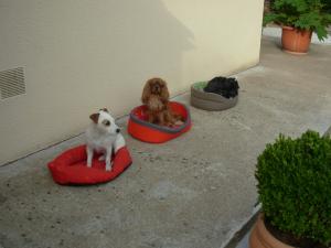 Photo du logement