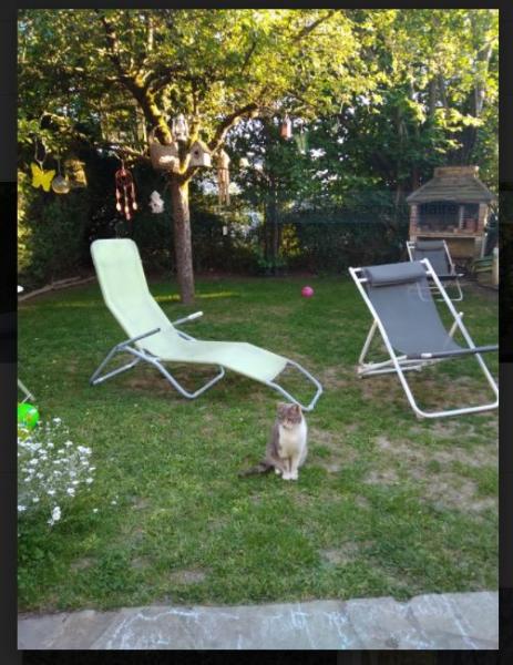 Photo du logement