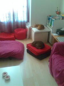 Photo du logement