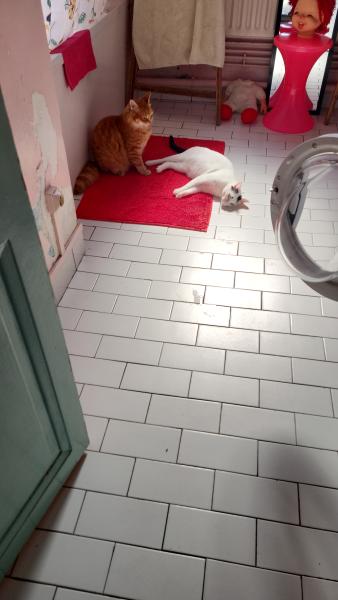Photo du logement