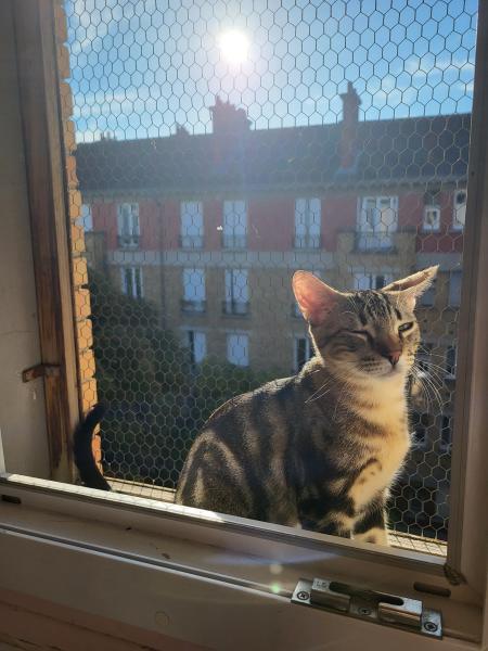 Photo du logement
