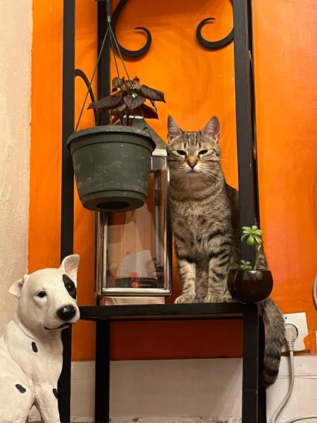 Photo du logement