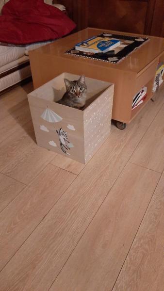 Photo du logement