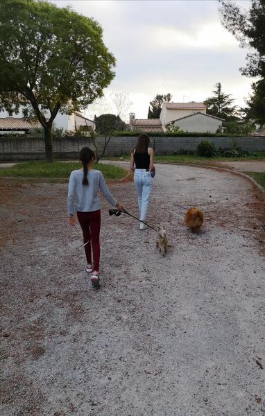 Photo du logement