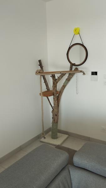 Photo du logement