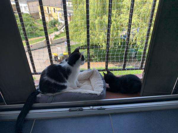 Photo du logement