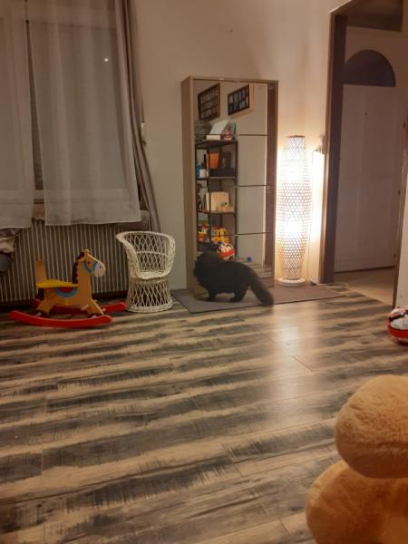 Photo du logement