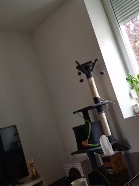 Photo du logement