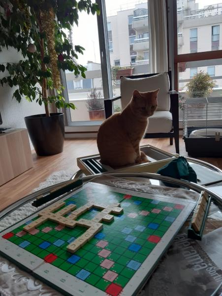 Photo du logement