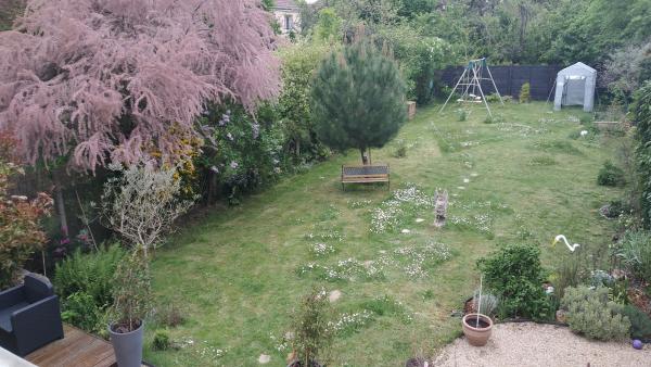 Photo du logement