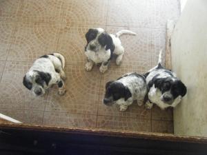 Photo du logement