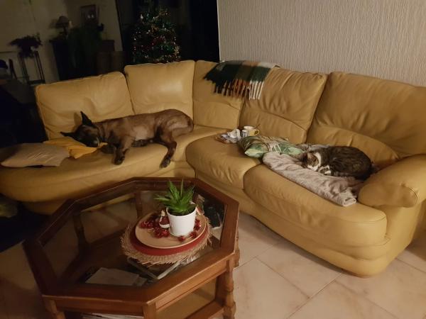 Photo du logement