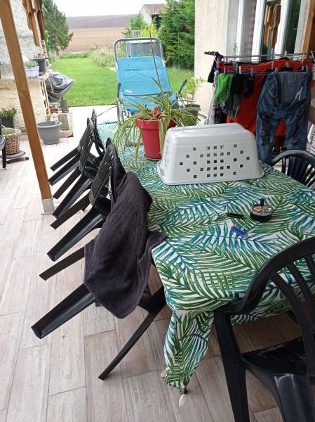 Photo du logement