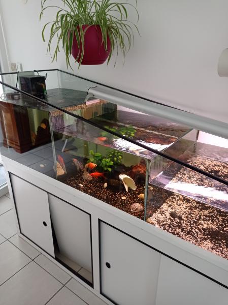 Photo du logement