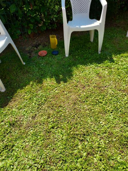 Photo du logement