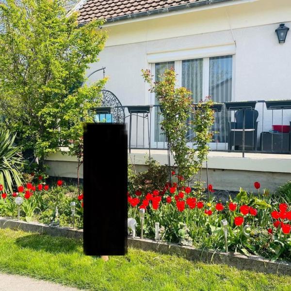 Photo du logement