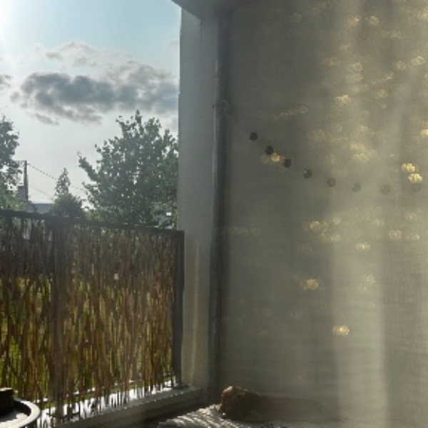 Photo du logement
