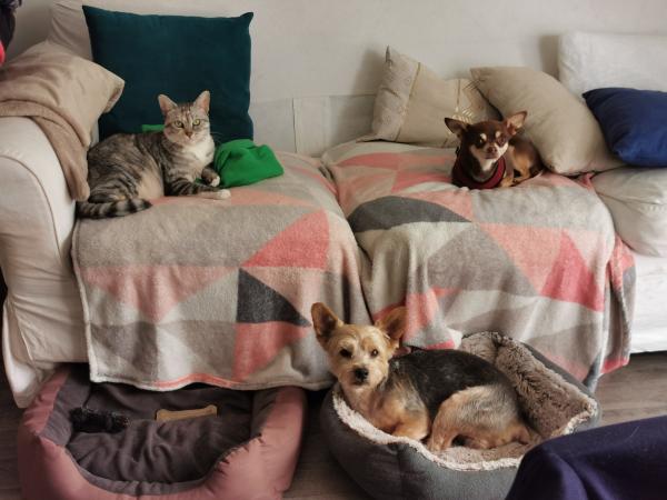 Photo du logement