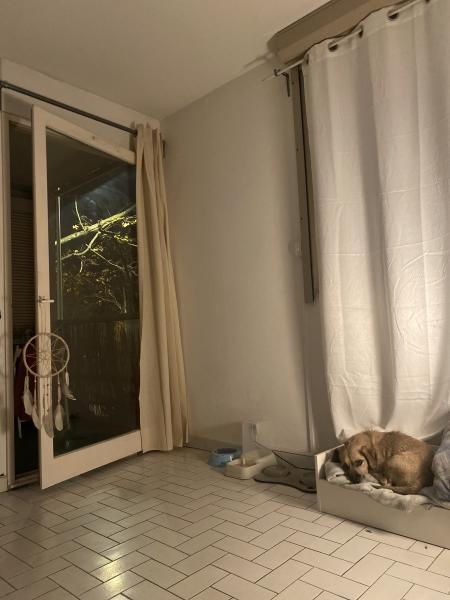 Photo du logement