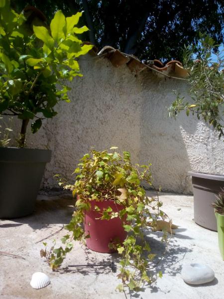 Photo du logement