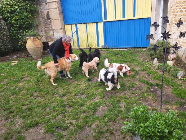 Photo du logement