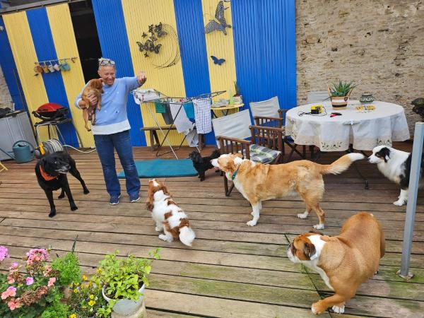 Photo du logement