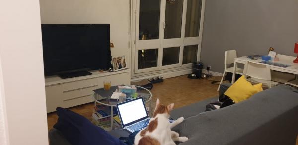 Photo du logement