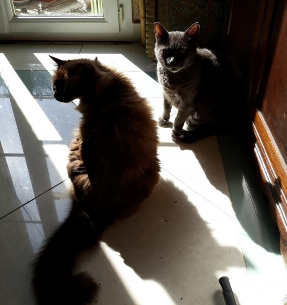 Photo du logement