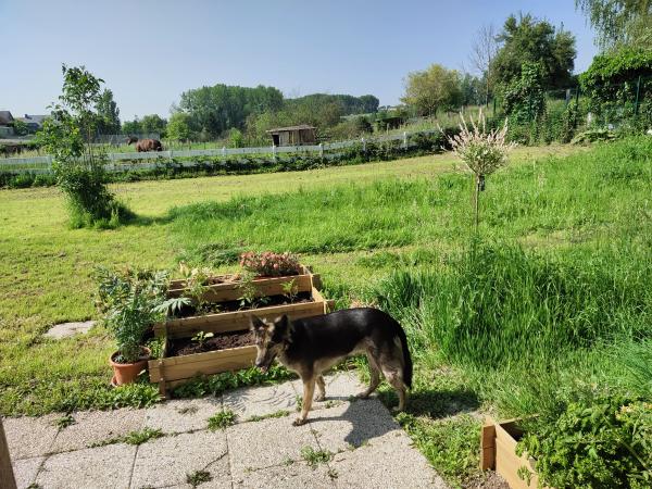 Photo du logement