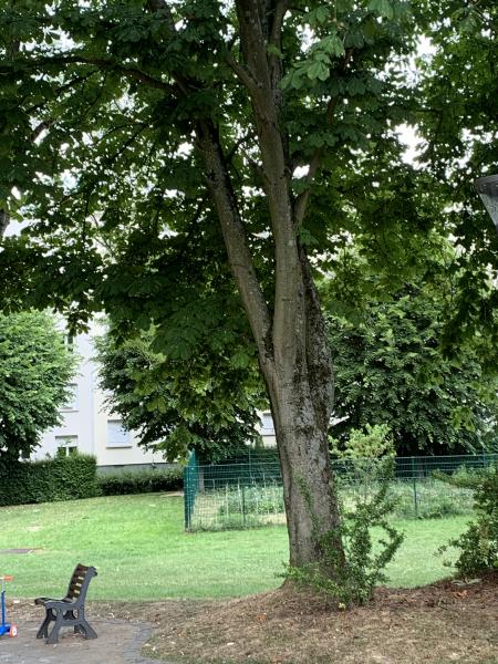 Photo du logement
