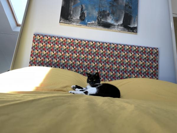 Photo du logement
