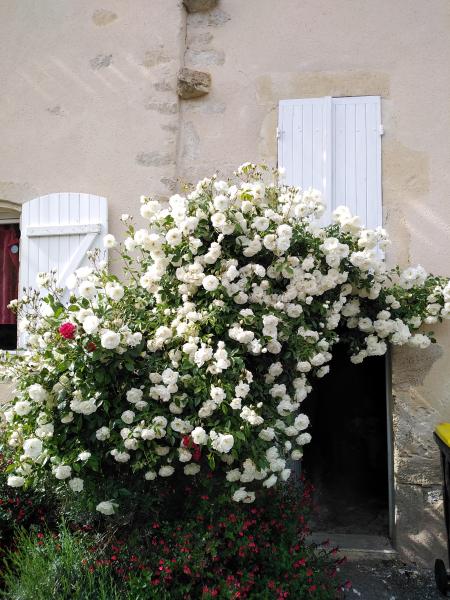 Photo du logement
