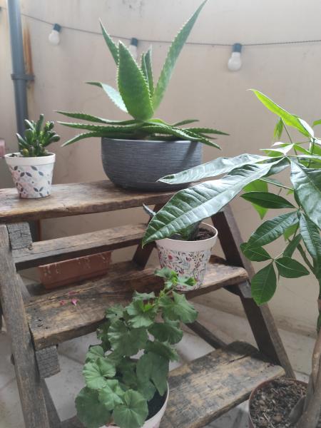Photo du logement