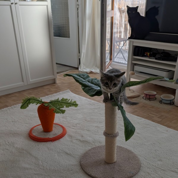 Photo du logement