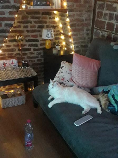 Photo du logement