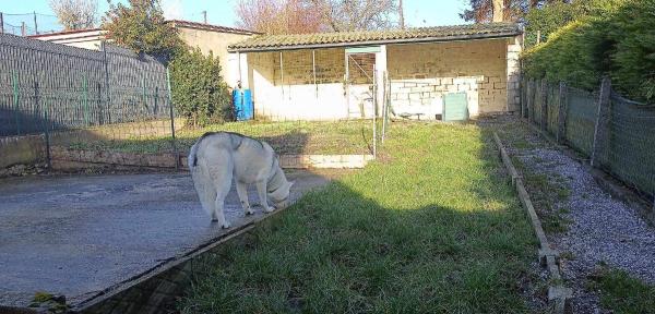 Photo du logement