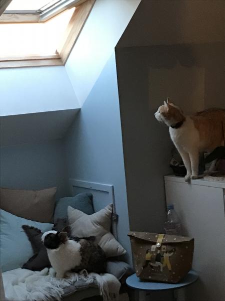 Photo du logement