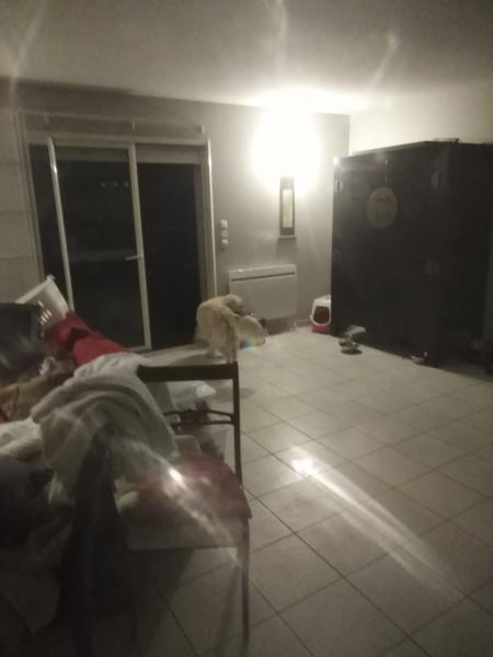 Photo du logement