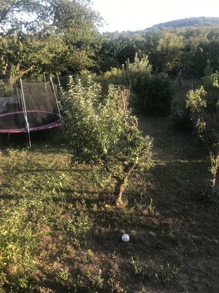 Photo du logement