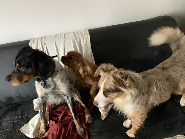 Photo du logement