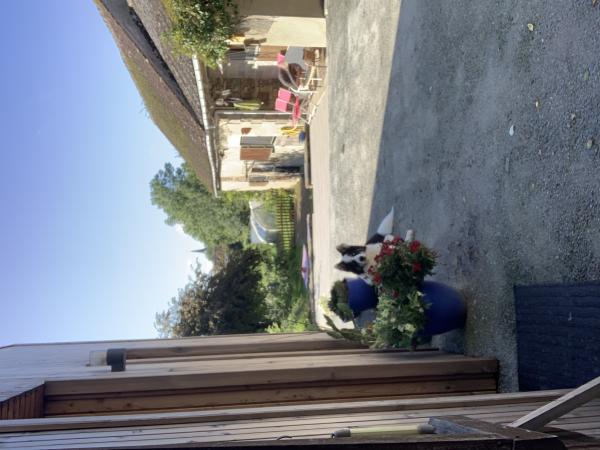 Photo du logement