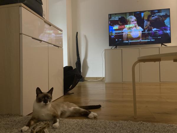 Photo du logement